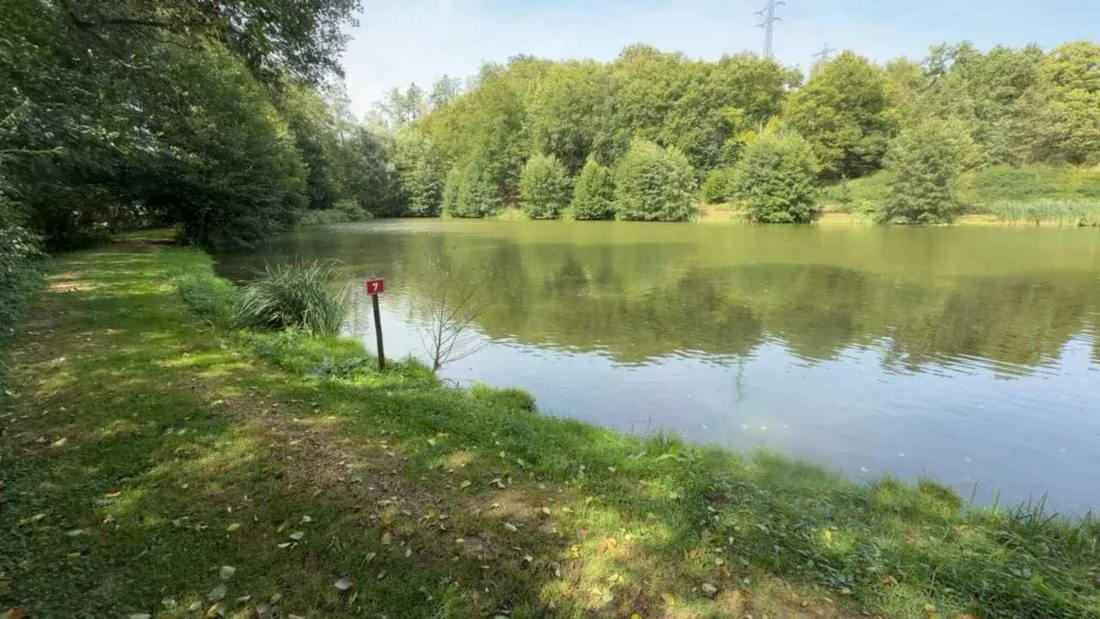 Lovné místo 7 u rybníka Býkovec